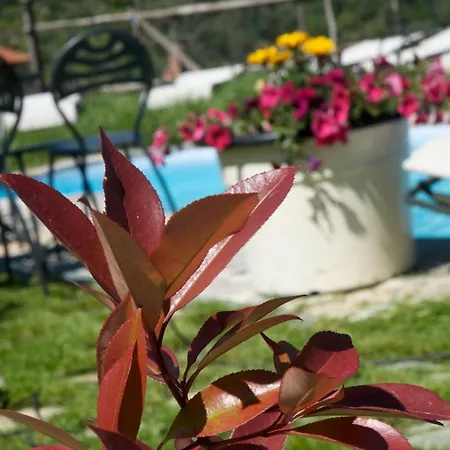 Mulino Countryside Apartment Dolcedo